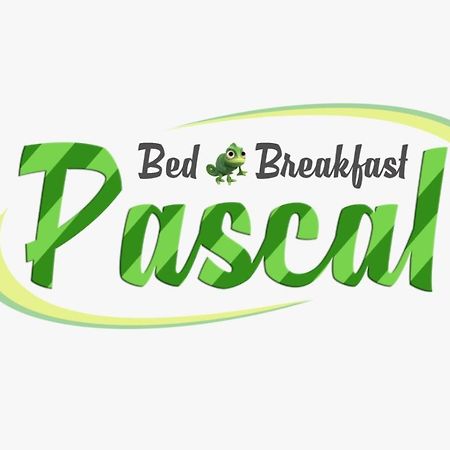B&B Pascal Cagliari Buitenkant foto