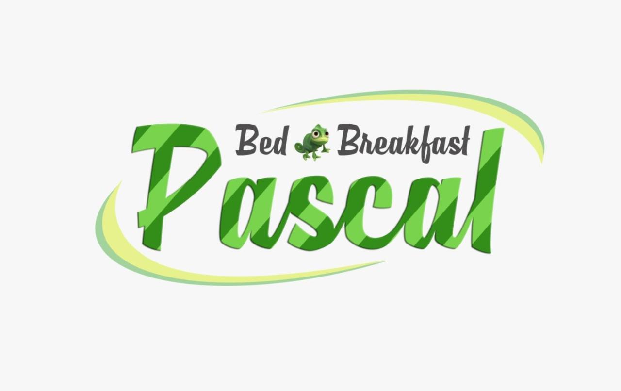 B&B Pascal Cagliari Buitenkant foto